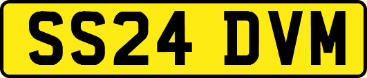 SS24DVM