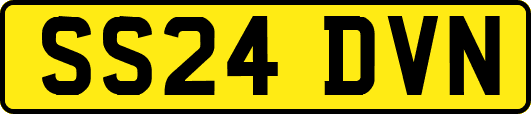 SS24DVN