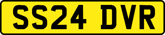 SS24DVR