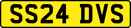 SS24DVS