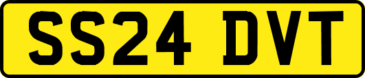 SS24DVT