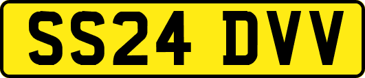 SS24DVV
