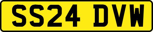 SS24DVW
