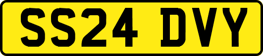 SS24DVY