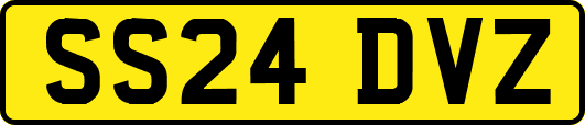 SS24DVZ