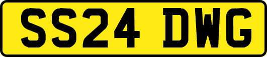 SS24DWG