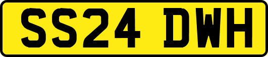 SS24DWH