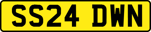 SS24DWN