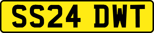 SS24DWT