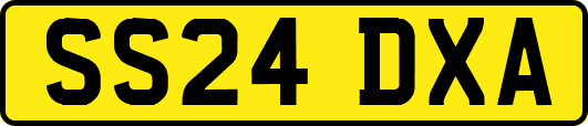 SS24DXA