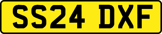 SS24DXF