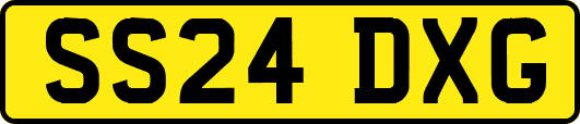 SS24DXG