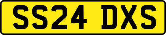 SS24DXS