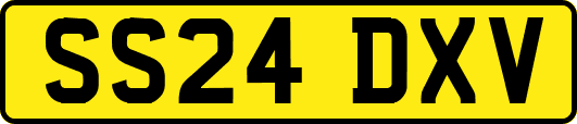 SS24DXV
