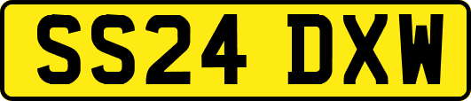 SS24DXW
