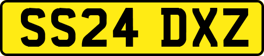 SS24DXZ