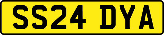 SS24DYA