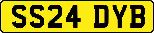 SS24DYB