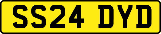 SS24DYD