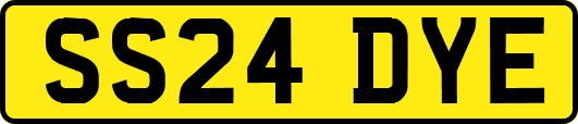 SS24DYE