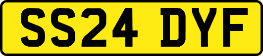 SS24DYF