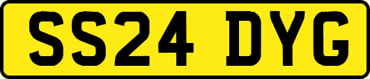 SS24DYG