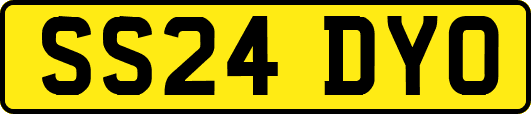 SS24DYO