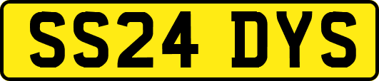 SS24DYS