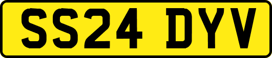 SS24DYV