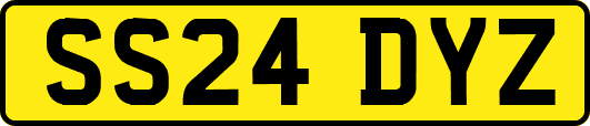 SS24DYZ