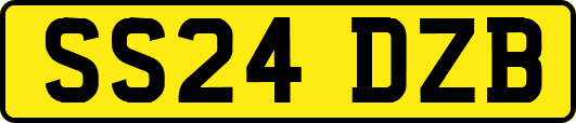 SS24DZB