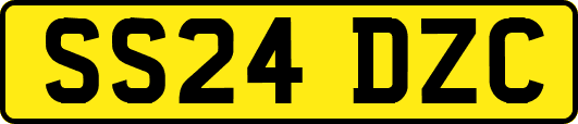 SS24DZC