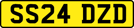 SS24DZD