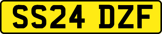 SS24DZF
