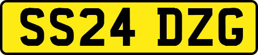 SS24DZG
