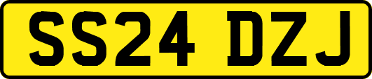 SS24DZJ