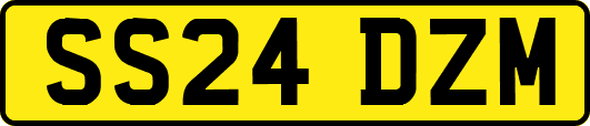 SS24DZM