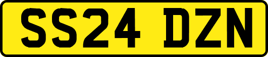 SS24DZN
