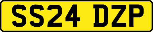 SS24DZP