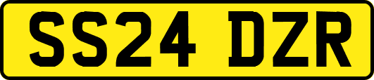 SS24DZR