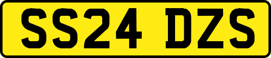 SS24DZS