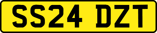 SS24DZT