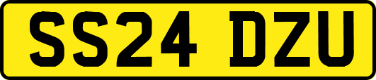 SS24DZU