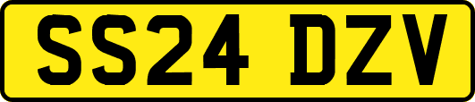SS24DZV