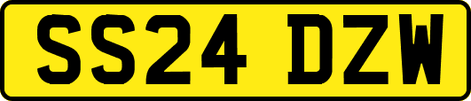 SS24DZW