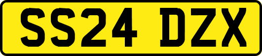 SS24DZX