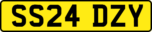 SS24DZY