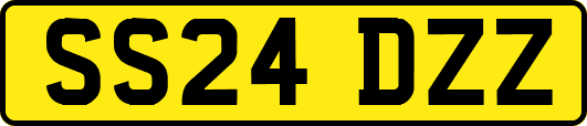 SS24DZZ