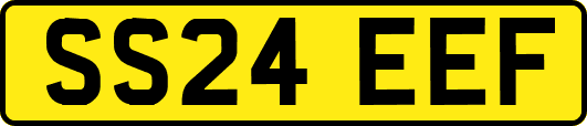 SS24EEF