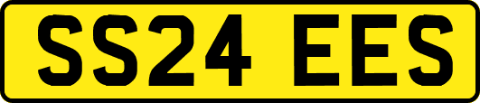 SS24EES